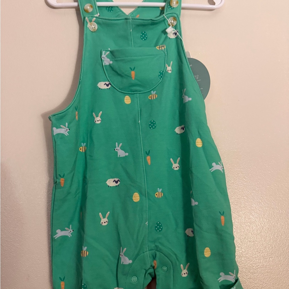 Little Sleepies Green Bunny & Carrot Overalls